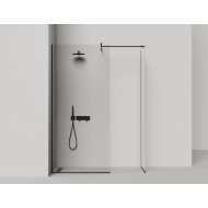 Душевая перегородка SALINI ATRIO 21309G