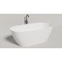 Ванна отдельностоящая SALINI SOFIA 185x90 покраска по RAL полностью 102519GRF Ванна отдельностоящая SALINI SOFIA 185x90 покраска по RAL полностью 102519GRF