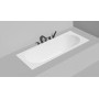 Ванна встраиваемая 1700х700х600 см SALINI ORNELLA 104713GRF RAL Ванна встраиваемая 1700х700х600 см SALINI ORNELLA 104713GRF RAL
